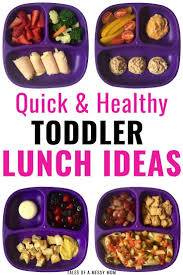 Quick And Healthy Toddler Lunch Ideas Tales Of A Messy Mom Healthy Toddler Meals Healthy Toddler Lunches Picky Toddler Meals