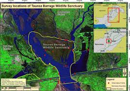 Welcome to the taunsa google satellite map! Map Showing The Survey Locations Of Taunsa Barrage Wildlife Sanctuary Download Scientific Diagram