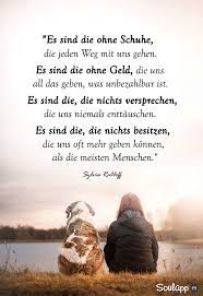 Jetzt nimm den hund und geh ne stunde raus. Pin Von Jutta Auf Spruche Hund Zitat Zitate Tiere Spruche Tiere