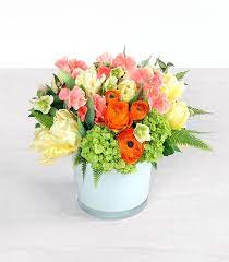 Maybe you would like to learn more about one of these? Apricot Classic Deluxe Winston Flowers Flowers Flower Delivery