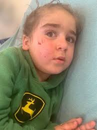 A follower asked we share: Hello! I was wondering if anyone have seen or  know about a vicious german shepherd around macomb twp area. The dog was  with his owner at Waldenburg