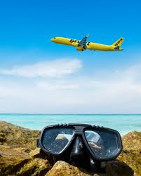 Image result for Natural Yellow 1999 Fleet