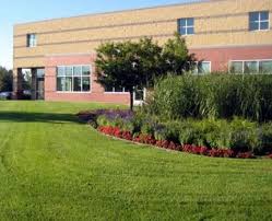 Lawn care service by pink and green is superior to other. Commercial Lawn Care In Franklin
