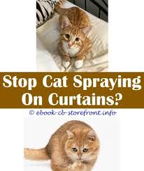 7 Portentous Diy Ideas Cat Sprayed Tail What Happens When A Cat Sprays Ssscat Cat Spray Battery Redken Cat Spray Review What Can You Spray To Sensible Aerosol