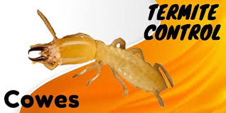 Get pest control treatment services when you choose bug ops pest control. Pest Control Cowes 0488 851 646 Best Pest Eradicator
