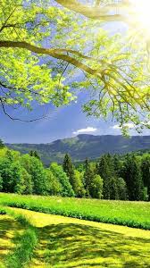 Nature Wallpapers Hd Mobile Group 46 Tons of awesome nature hd wallpapers 1080p to download for free. nature wallpapers hd mobile group 46