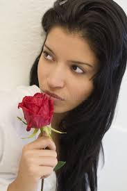176,743 Black Rose Rose Stock Photos