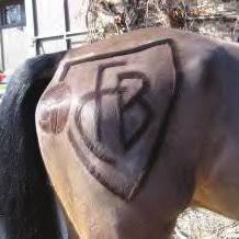 Le cheval est déjà représenté sur les peintures pariétales remontant à plus de 30 000 ans, comme par exemple dans la grotte de lascaux. Le Cheval Est Il Ridiculise Et Avili Meme Lorsque Il Ne Se Rend Pas Download Scientific Diagram