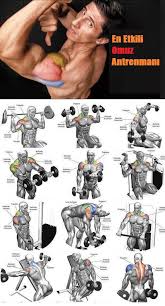 Fitness Program Rehberi 2020 Biseps Fitness Programlari Fitness Man
