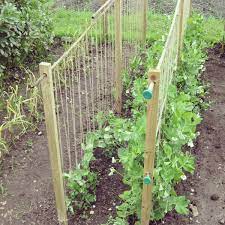 Homemade Pea Supports Www Lavenderandleeks Co Uk Allotment Gardening Garden Trellis Vegetable Garden