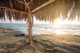 5395240 4928x3280 Beach Background Summer Tropical Beach Wallpapers Beach Sun Ocean Sea Surf Sand Holiday La Jolla Surf Shack San Diego Wallpaper Palm Free Stock Photos Surfer Wafe Water Shore Mocah Org