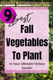 Gardeners.com has been visited by 10k+ users in the past month 9 Best Fall Vegetables For Your Ultimate Victory Garden Joy On This Mom Journey