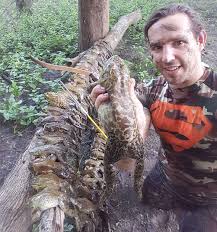 Use them in commercial designs under lifetime, perpetual & worldwide rights. Bullfrogs Are Easy To Catch Great Addition To Any Fish Fry