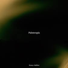 Paloterapia - Single by Donny & Badlissi on Apple Music