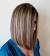 Bob Short Brown Hair With Blonde Highlights