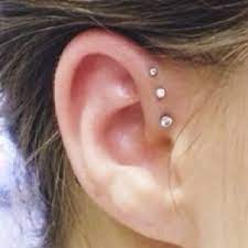 Whistling In The Dark By Lesley Kagen 0451221230 9780451221230 Cute Piercings Forward Helix Piercing Front Helix Piercing
