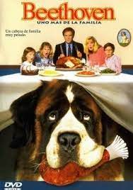 Beethoven 1 Online Latino 1992 Comedia Cine Familiar Dog Movies Beethoven Beethoven Movie