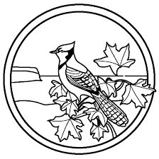 Blue Jay Coloring Page Coloringnori Coloring Pages For Kids Each fan mats product is produced in a 250000 sq. blue jay coloring page coloringnori