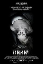 Ceset El Cuerpo 2012 Brrip Turkce Dublaj Film Indir Film Film Afisleri Insan
