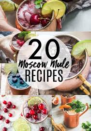 20 Moscow Mule Variations For You To Try When You Want A Twist Moscow Mule Recipe Mule Recipe Moscow Mule Variations