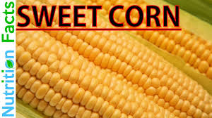 Maybe you would like to learn more about one of these? Corn Nutrition Facts Info Nutritional Information Of Sweet Yellow Corn On The Cob Its Values Youtube