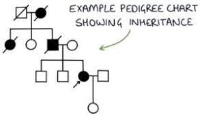 Image result for Chorea