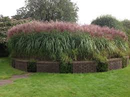 Pin On Piet Anja Oudolf S Garden Hummelo Netherlands Saturday 21 September 2013