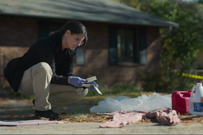 Missing Dead or Alive?' Renewed For Season 2 By Netflix