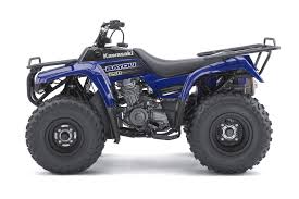 These bikes are cool and virtually bullet proof. Kawasaki Bayou 250 Specs 2010 2011 Autoevolution