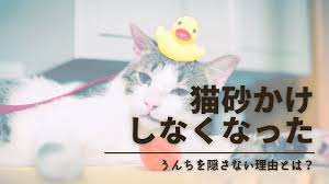 ノアルブログ - ノアルブログ