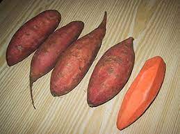 Tongan potato / tongan potato : Sweet Potato Wiktionary