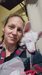 Doggy daycare for deaf and blind corgi?