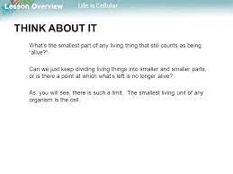 Looked at cork under the microscope and named the tiny chambers cells. Lesson Overview 7 1 Life Is Cellular Ppt Video Online Download