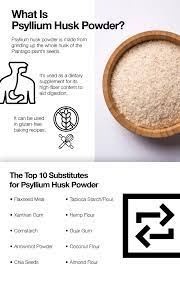 Check spelling or type a new query. What S A Good Substitute For Psyllium Husk Powder Top 10 Gluten Free Baking Alternatives Veggieshake Psyllium Husk Powder Baking Alternatives Psyllium Husk Recipe