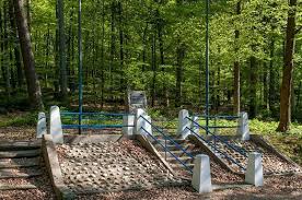 Lundi 30 Octobre 1944 Fin De La Bataille De Bruyeres Operation Dogface Qui Eut Lieu Du 14 Au 30 Octobre Aux Environs De Saint Die Des Vosges Bruyeres Lieux