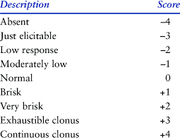 mayo clinic scale for tendon reflex assessment download table