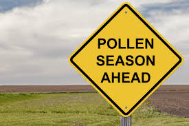 Hooikoorts is een allergie voor stuifmeel, ook wel pollen genoemd. 5 Natuurlijke Tips Tegen Hooikoorts I Love Health