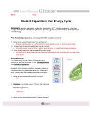 Cell Energy Flow Review Photosynthesis And Respiration Doc