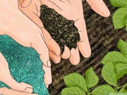 When you're looking for the best rose fertilizer, for many home gardeners, purchasing a bag of fertilizer for rose bushes is a purchase of mystery. 3 Ways To Fertilize Flowers Wikihow