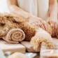 K9 Massage/Reiki/Cold Laser Therapy/ Body Talk... event in Pembroke, ON