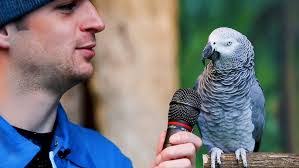 Logan Chen's Instagram, Twitter & Facebook