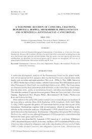 Image result for Schinziella tetragona