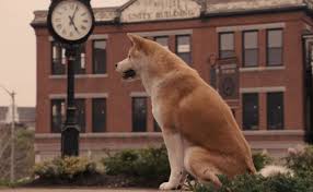 images?q=tbn:ANd9GcQVKodAZJILMRDrM4aRbdP8V7ghSnu5eP3H3Q&s