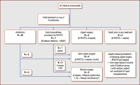 Flow Chart Showing Type Of Treatment And Outcome Of Melody