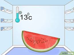If you feel the watermelon is crunchy and fresh then it is healthy and safe to eat however if you feel that it is mushy or have a slightly different taste like sour then you must not eat it. 3 Ways To Tell If A Watermelon Is Bad Wikihow