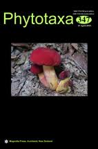 Image result for Premna velutina