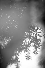 Editorial A Spring Breeze Fine Art Landscape Photography Beautiful Landscape Photography Shadow Photography