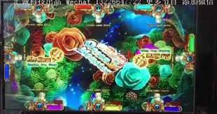 美国最新打鱼机多少钱一台 海王2打鱼机 英文版 oth