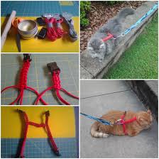Check spelling or type a new query. Diy Paracord Dog Leash Lovepetsdiy Com