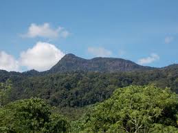 Gunung jerai boleh dilihat dari daerah pulau pinang dan kawasan berhampiran di negeri kedah dan parasnya dikelilingi oleh tanah pertanian padi bendang. Gunung Jerai Gunung Bagging